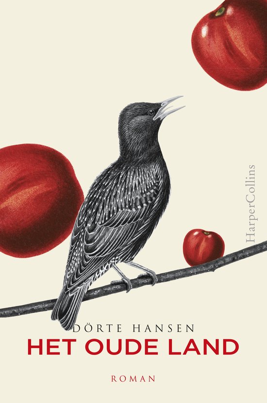 Een merel zit op een tak met drie rode appels op de achtergrond. Titel: HET OUDE LAND.