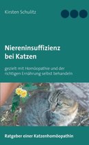 Niereninsuffizienz bei Katzen