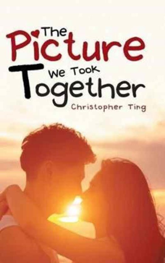 The Picture We Took Together - cover