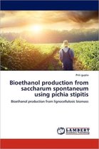 Bioethanol Production from Saccharum Spontaneum Using Pichia Stipitis