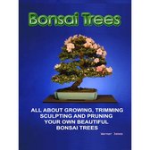 Correct Times - Bonsai Trees