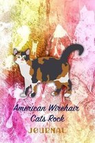 American Wirehair Cats Rock