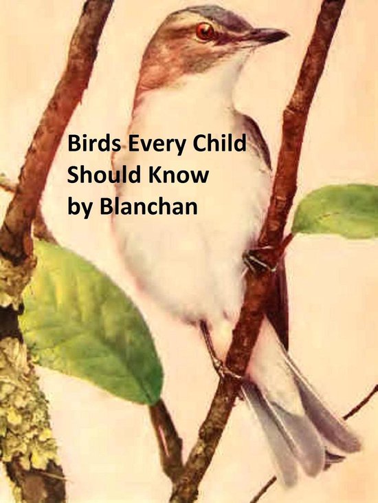 Birds Every Child Should Know, Illustrated - cover