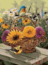 Schilderen op nummer vogels 40 x 50 cm