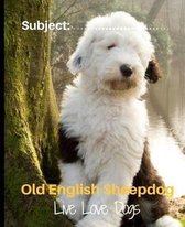 Old English Sheepdog - Live Love Dogs!
