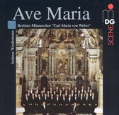 Ave Maria / Wiedermann, Berliner Mannerchor "Weber"