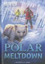 Polar Meltdown