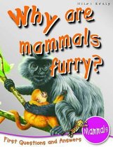 1st Questions and Answers Mammals