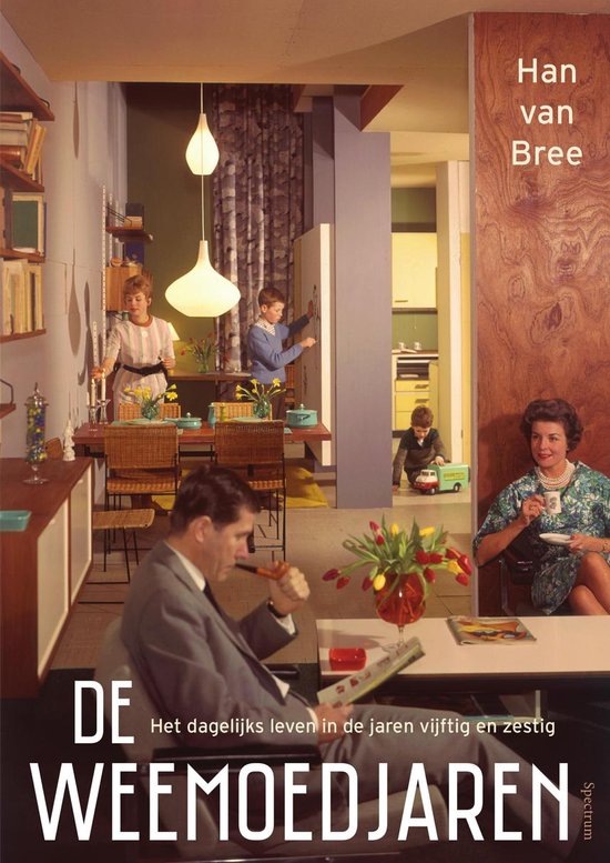 De weemoedjaren - cover