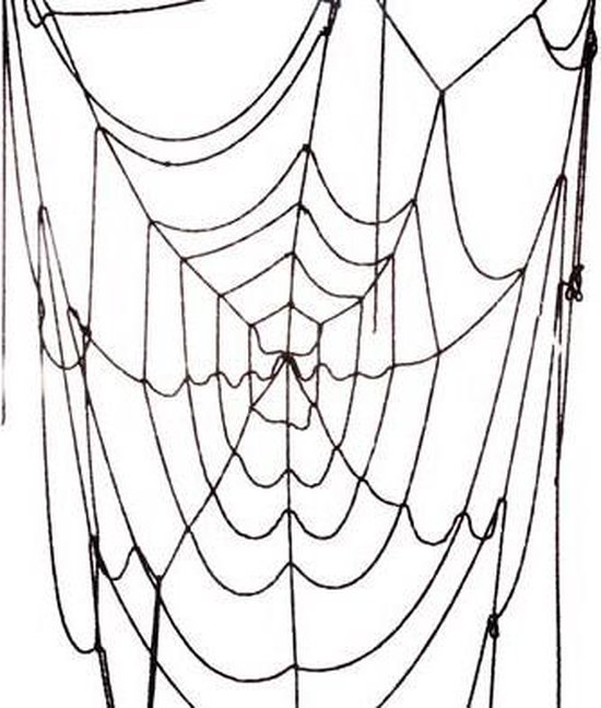 racket droogte Geurloos Spinnenweb decoratie zwart 100 cm | bol.com