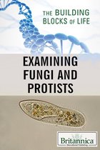 The Building Blocks of Life - Examining Fungi and Protists