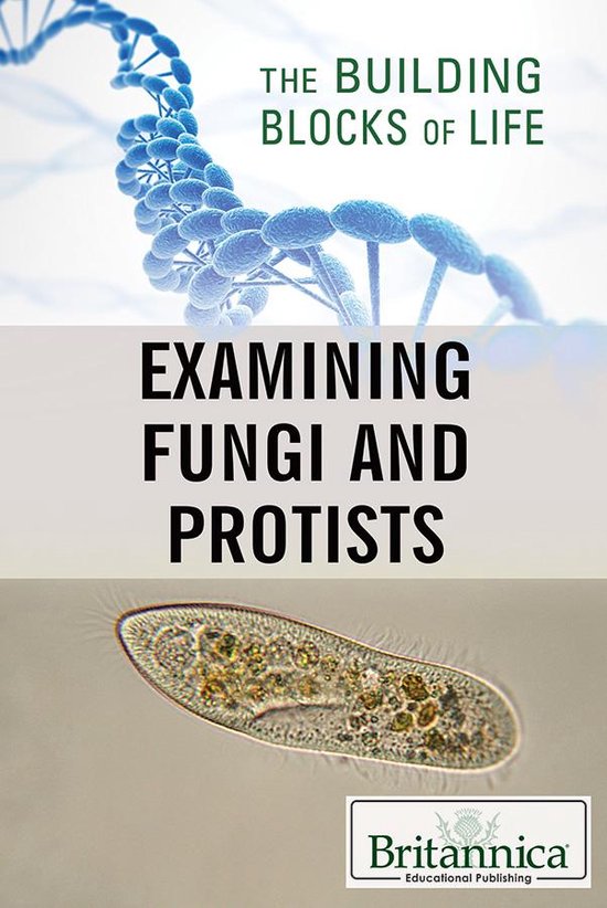 The Building Blocks of Life - Examining Fungi and Protists - cover