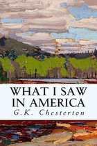 What I Saw in America