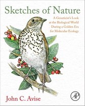 Sketches Of Nature