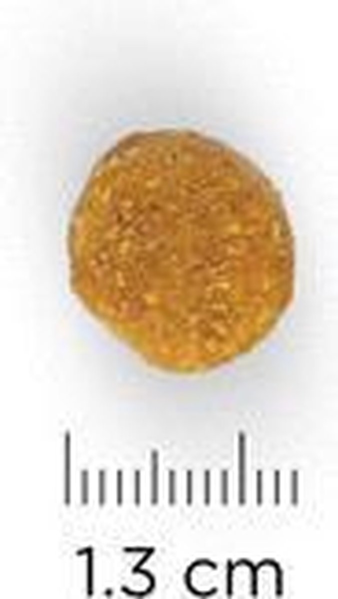 Hill's Canine Adult Advanced Fitness Lam/Rijst 12 KG thumbnail 6