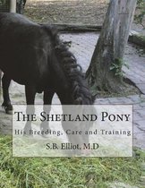 The Shetland Pony