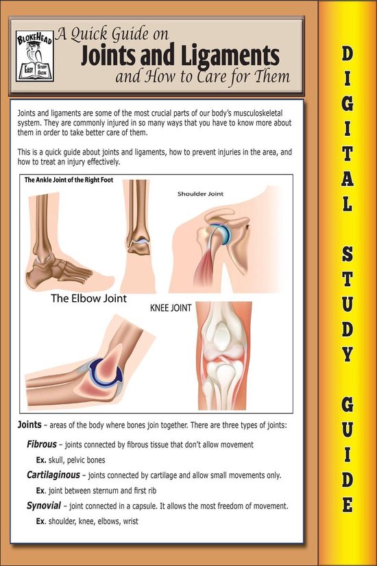 Blokehead Easy Study Guide -  Joints and Ligaments ( Blokehe ... - cover