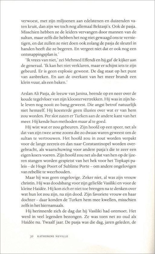 Het Vuur