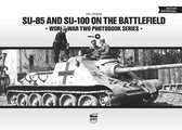 SU85 & SU100 On Battlefield WWII Photo 9