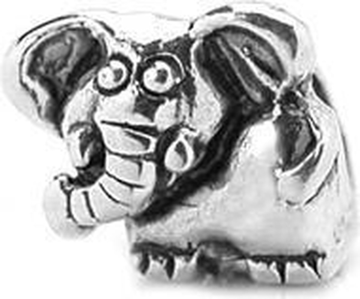 SimKids - Zilveren Kinderbedel - Olifant
