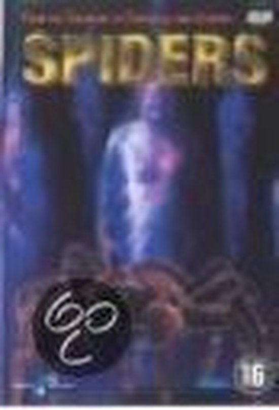 Spiders