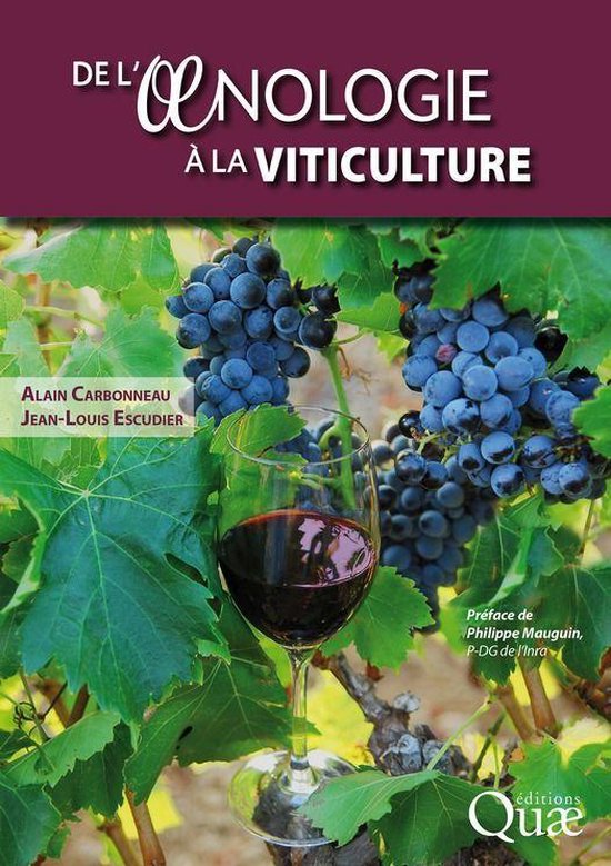 De l'oenologie à la viticulture