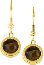 Quiges RVS Schroefsysteem Oorhangers Oorbellen Goudkleurig met Verwisselbare Tiger's Eye Bruin Mini Munt Set