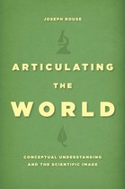 Articulating the World - Conceptual Understanding and the Scientific Image