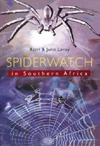 Spiderwatch in Southern Africa