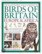 The Illustrated Encyclopedia Of Birds Of Britain, Europe And Africa