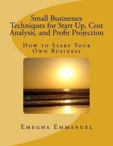 Small Businesses Techniques for Start Up, Cost Analysis, and Profit Projection