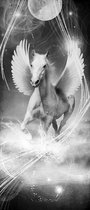 Winged Horse Pegasus Black Photo Wallcovering