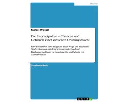 Die Internetpolizei – Chancen und Gefahren einer virtuellen Ordnungsmacht