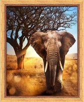 Diamond Painting African Elephant 40 x50