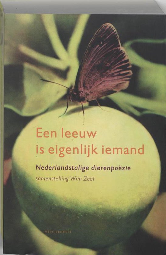 Cover van het boek 'Een leeuw is eigenlijk iemand'