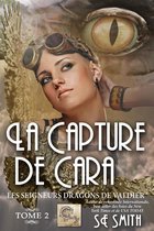 livre numérique
