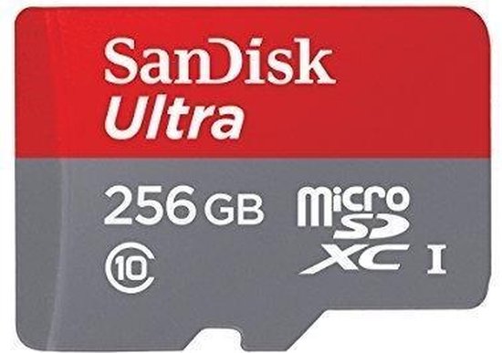 microscopisch grens Kustlijn SanDisk Ultra Micro SD Kaart - 256GB - Met Adapter | bol.com