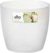 Elho Brussels Orchidée 16 - Pot De Fleurs pour Intérieur - Ø 16.0 x H 14.6 cm - Transparent