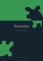 Animal - Tortoise