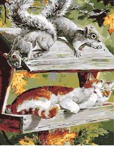 Schilderen op nummer eekhoorns en kat