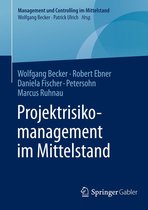 Management und Controlling im Mittelstand - Projektrisikomanagement im Mittelstand