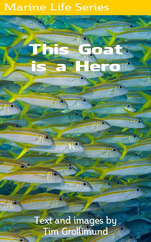 Marine Life 17 - This Goat Is a Hero - cover