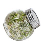 Buzzy® Organic Spruitgroente Pikante Salade in glazen pot