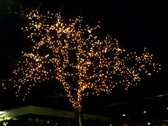 Tronix Kerstverlichting - 6 meter - Buiten - LED lichtsnoer - Warm wit