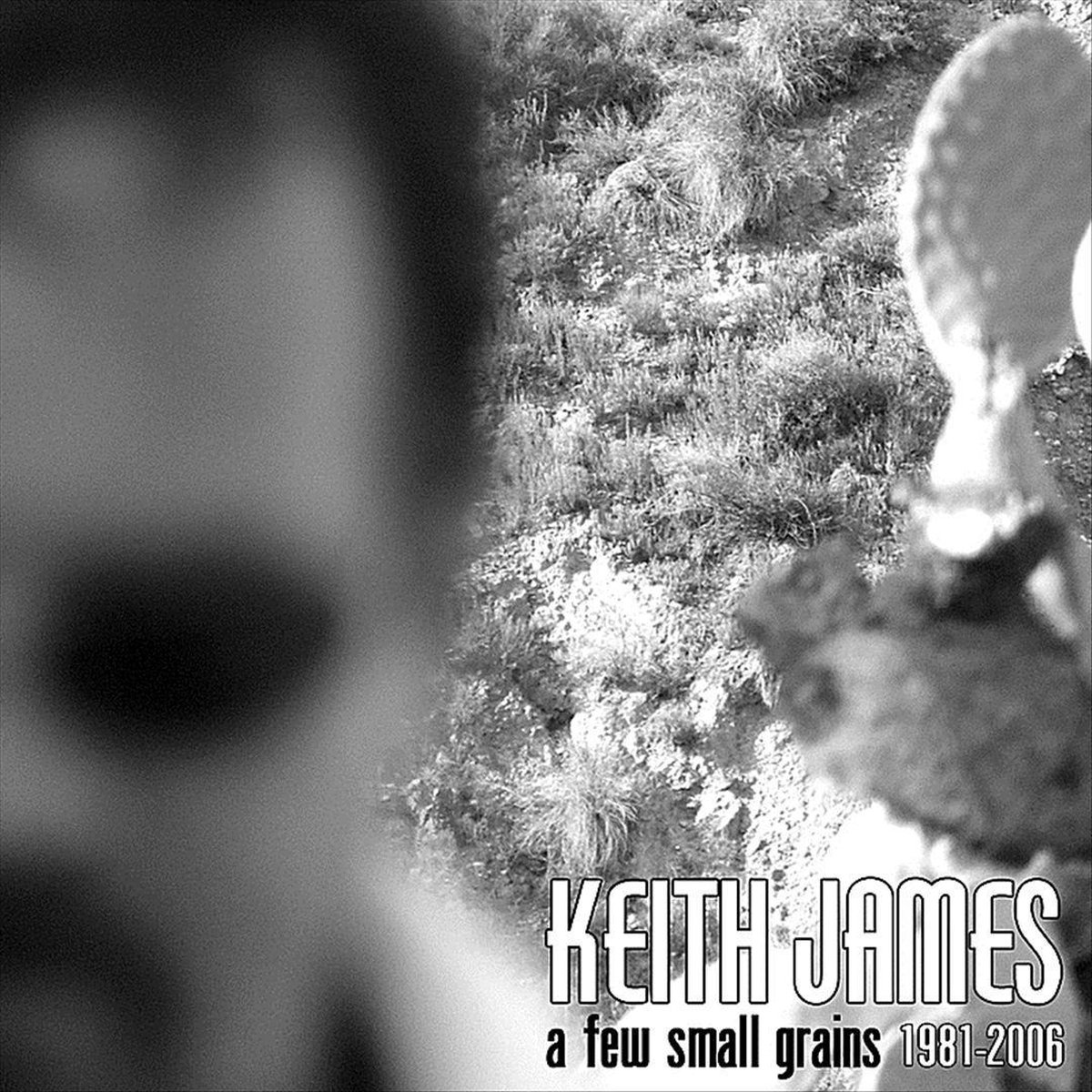 A Few Small Grains 1981 - 2006 - Keith James