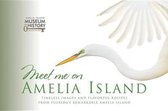 Meet Me on Amelia Island