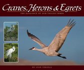 Wildlife Appreciation - Cranes, Herons & Egrets