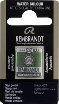 Rembrandt water colour napje Sap Green (623)