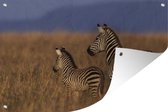 Muurdecoratie Moeder en baby zebra - 180x120 cm - Tuinposter - Tuindoek - Buitenposter