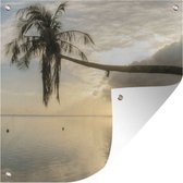 Tuinposters Overhangende palmboom op het strand van Mo'orea - 50x50 cm - Tuindoek - Buitenposter